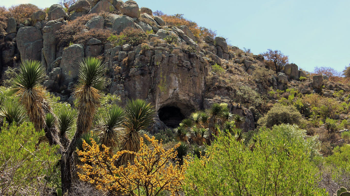 aztlan_pic_0000s_0001_Layer%208