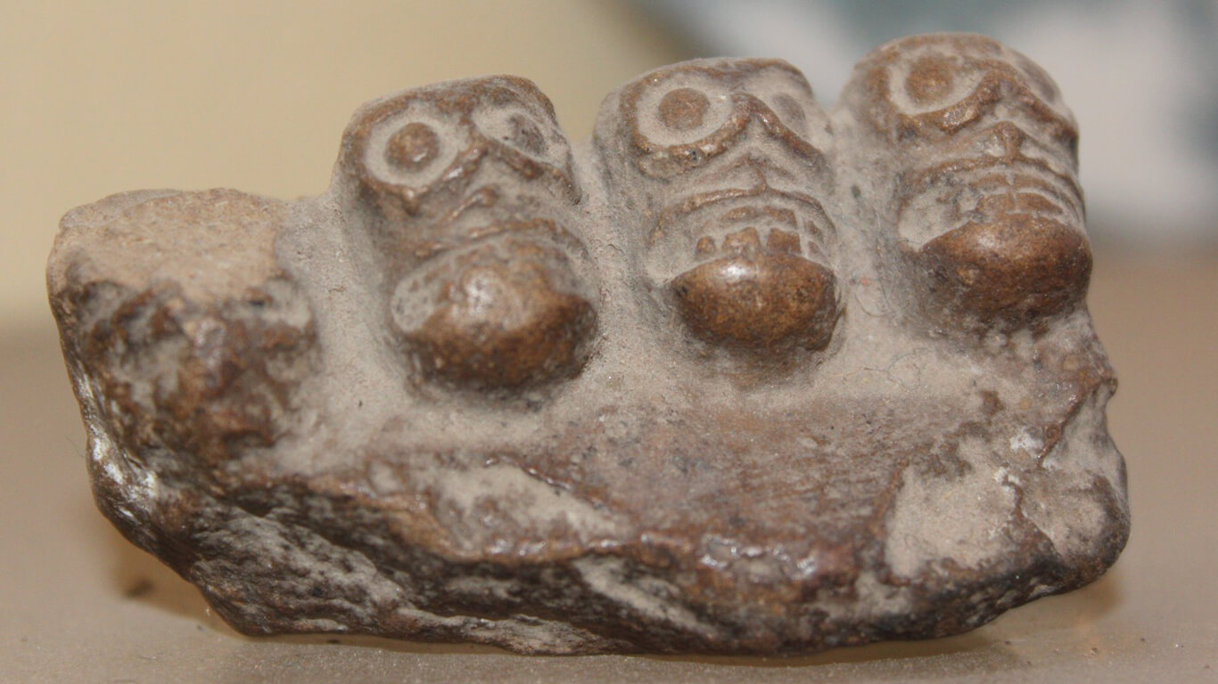 sec8%20gallery_0002_Layer%206