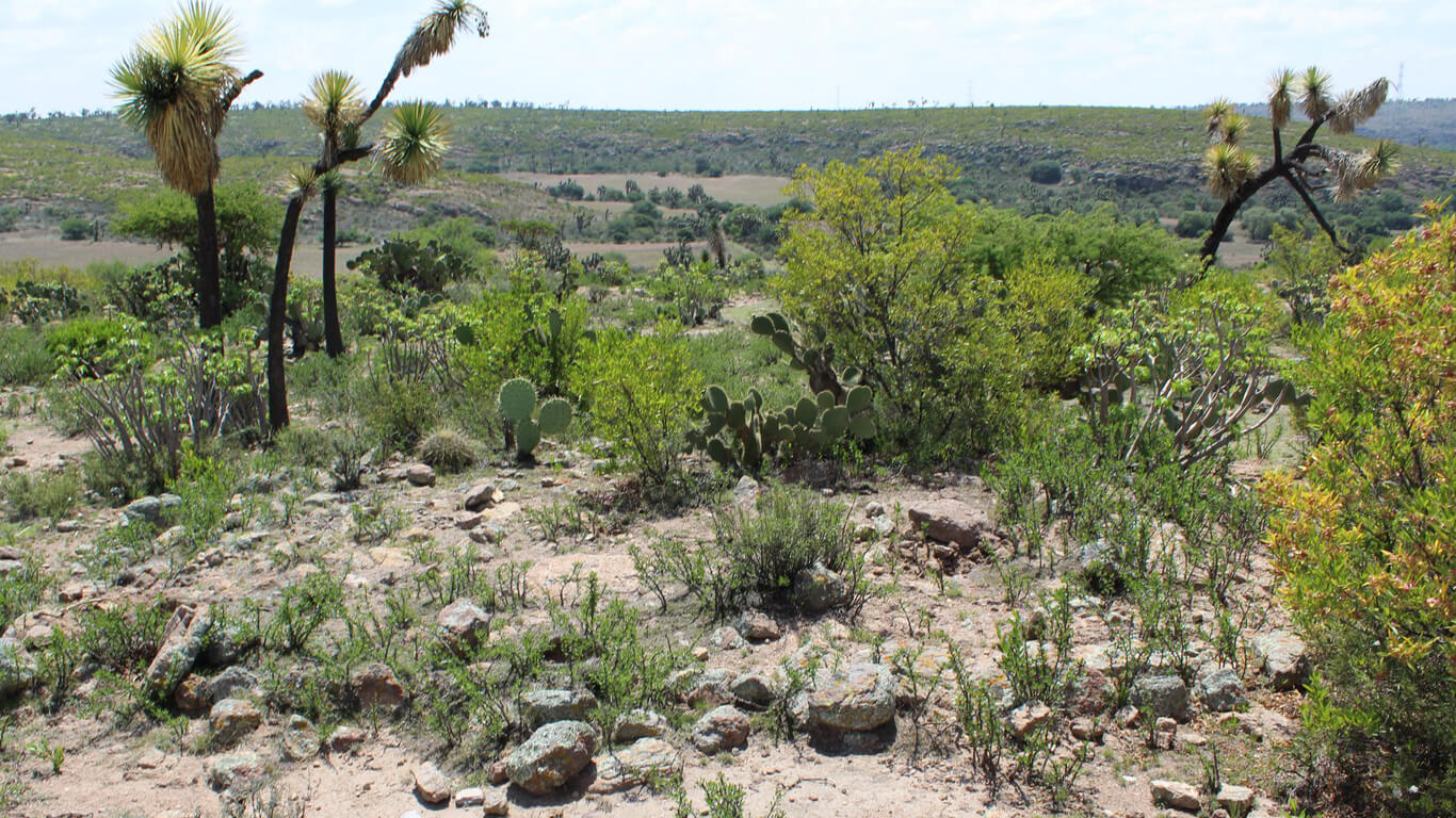 aztlan_pic_0000s_0004_Layer%205