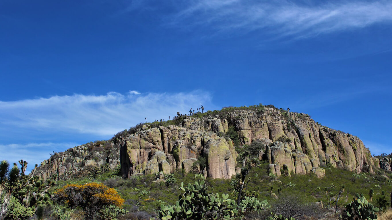 sec8%20gallery_0007_Layer%201